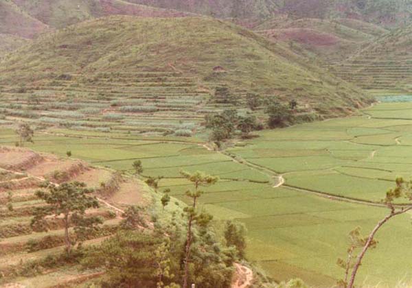 The west side of Star Hill photographed by Gene in 1985