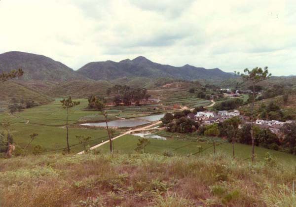 育秀小學 Yu Xiu Primary School photographed by Gene in 1985