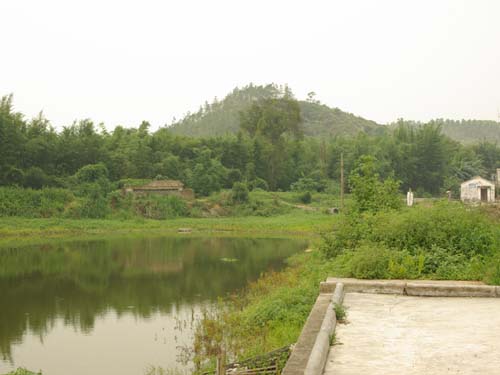 View from Pond toward Star Hill 塘基望星山 taken by Yanying in 2008