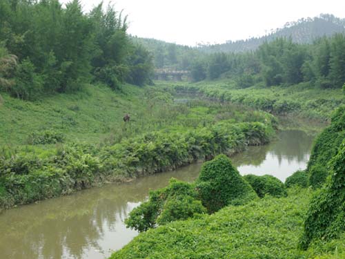 Looking towards Railway Bridge 望出火車橋 taken by Yanying in 2008