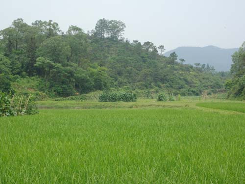 Duck Hill Valley 鸭山坑 taken by Yanying in 2008